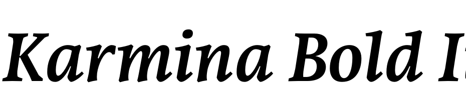 Karmina Bold Italic cкачати шрифт безкоштовно